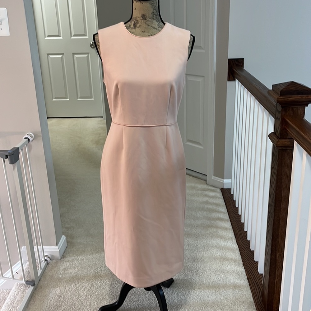 Ann Taylor Work Dress
